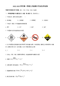 广东省肇庆市封开县封川中学2022-2023学年九年级上学期期中化学试题