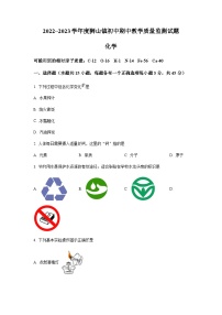 广东省佛山市南海区狮山镇2022-2023学年九年级上学期期中化学试题