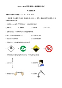 广东省茂名市电白区2022-2023学年九年级上学期期中化学试题