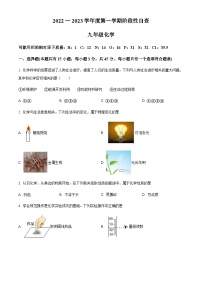 广东省江门市鹤山市2022-2023学年九年级上学期期中化学试题