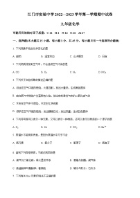 广东省江门市实验中学2022-2023学年九年级上学期期中化学试题