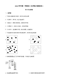 广东省广州市荔湾区真光中学2022-2023学年九年级上学期期中模拟化学试题3