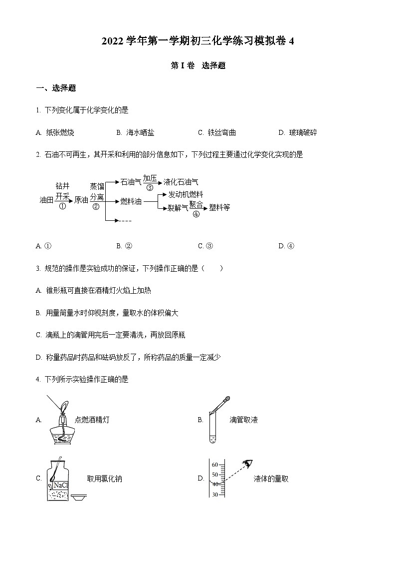 广东省广州市荔湾区真光中学2022-2023学年九年级上学期期中模拟化学试题4（原卷版）第1页