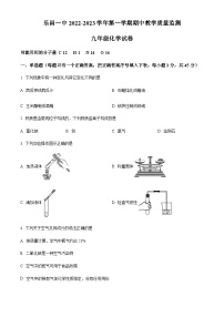 广东省韶关市乐昌市第一中学2022-2023学年九年级上学期期中化学试题