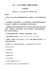 广东省河源市紫金县2022-2023学年九年级上学期期中化学试题