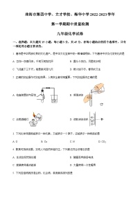 广东省珠海市第四中学2022-2023学年九年级上学期期中化学试题