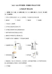 广东省深圳市罗湖区2022-2023学年九年级上学期期中化学试题