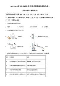 广东省深圳市龙岗区联邦学校等2校2022-2023学年九年级上学期期中化学试题