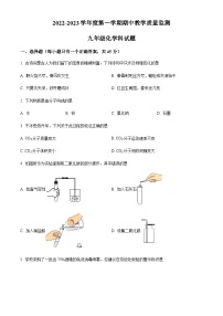 广东省揭阳市揭东区2022-2023学年九年上学期期中化学试题