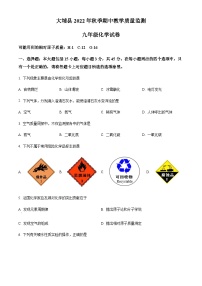 广东省梅州市大埔县2022-2023学年九年级上学期期中化学试题