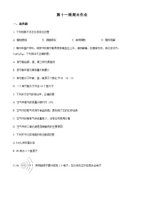 东莞市虎门外语学校2022-2023学年九年级上学期第十一周周末（期中考试模拟训练）化学试题