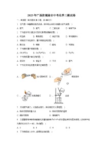 2023年广西防城港市中考化学三模试卷