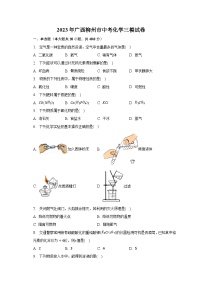 2023年广西柳州市中考化学三模试卷（含解析）