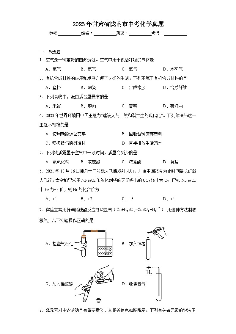 2023年甘肃省陇南市中考化学真题（含解析）01