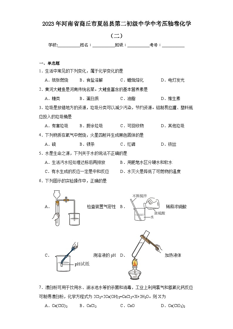 2023年河南省商丘市夏邑县第二初级中学中考压轴卷化学（二）（含解析）01