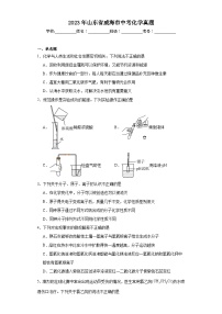 2023年山东省威海市中考化学真题（含解析）