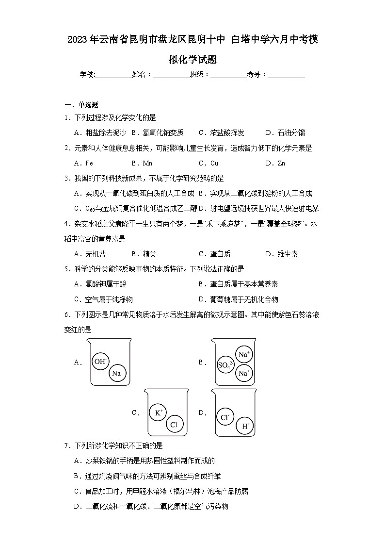 2023年云南省昆明市盘龙区昆明十中白塔中学六月中考模拟化学试题（含解析）第1页