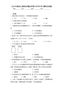 2023年黑龙江省绥化市肇东市第七中学中考六模化学试题（含解析）