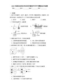 2023年湖北省武汉市武昌区梅苑中学中考模拟化学试题（含解析）