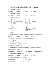 2023年辽宁省铁岭市西丰县中考化学一模试卷（含解析）