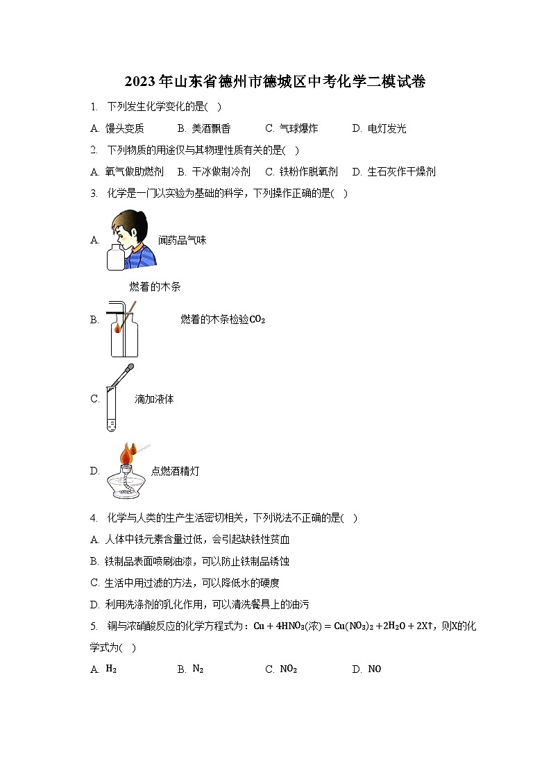 2023年山东省德州市德城区中考化学二模试卷（含解析）01