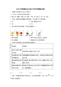 2023年海南省定安县中考化学模拟试卷（含解析）