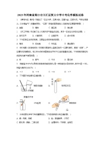 2023年河南省周口市川汇区恒大中学中考化学模拟试卷（含解析）