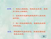 九年级化学人教下册教学课件课题1人类重要的营养物质