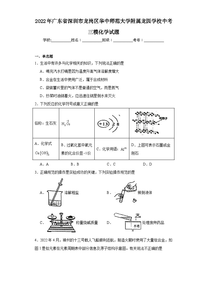 2022年广东省深圳市龙岗区华中师范大学附属龙园学校中考三模化学试题（含解析）01
