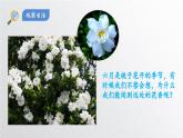 第三单元课题1分子和原子课件