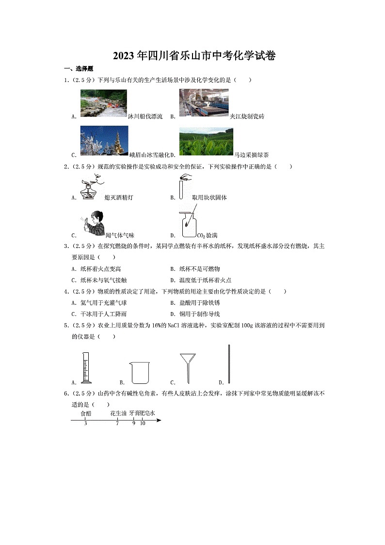2023年四川省乐山市中考化学真题第1页