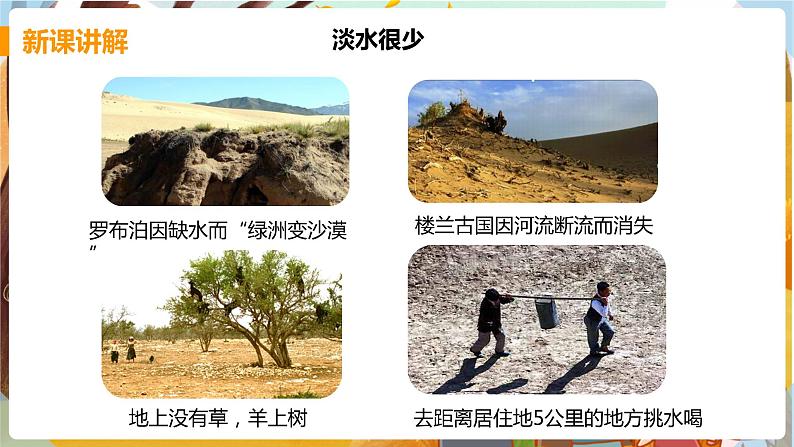 课题1   爱护水资源第8页