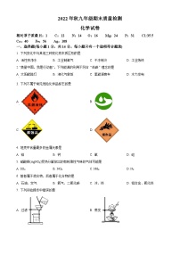 2022-2023学年河南省商丘市柘城县九年级上学期期末化学试题