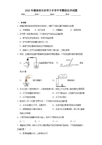 2023年湖南省长沙市宁乡市中考模拟化学试题（含解析）