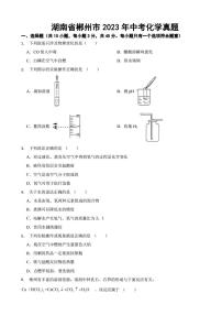 湖南省郴州市2023年中考化学真题(附参考答案)