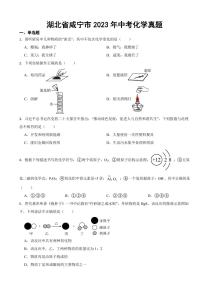 湖北省咸宁市2023年中考化学真题(附参考答案)