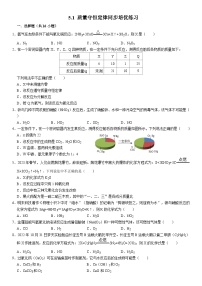 初中化学人教版九年级上册课题 1 质量守恒定律当堂检测题