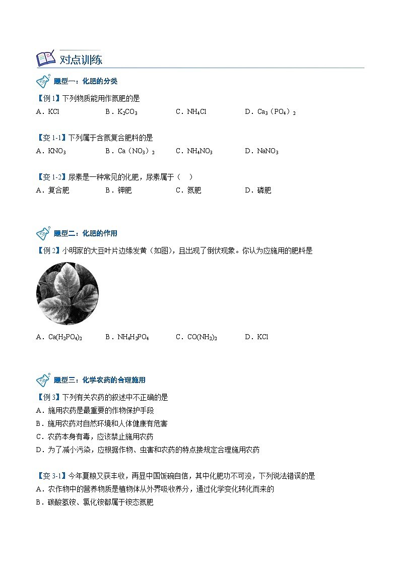 【同步讲义】人教版化学九年级下册--1102 化肥03