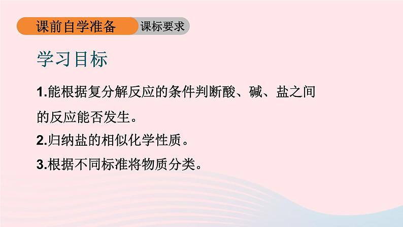 2023九年级化学下册第十一单元盐化肥课题1生活中常见的盐第3课时盐的化学性质上课课件新版新人教版02