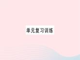 2023九年级化学下册第九单元溶液复习训练作业课件新版新人教版