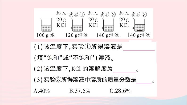 2023九年级化学下册第九单元溶液课题3溶液的浓度第一课时溶质的质量分数作业课件新版新人教版第5页