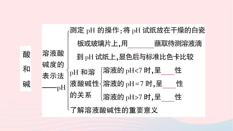 2023九年级化学下册第十单元酸和碱复习训练作业课件新版新人教版第6页