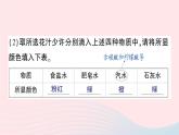 2023九年级化学下册第十单元酸和碱实验活动七溶液酸碱性的检验作业课件新版新人教版