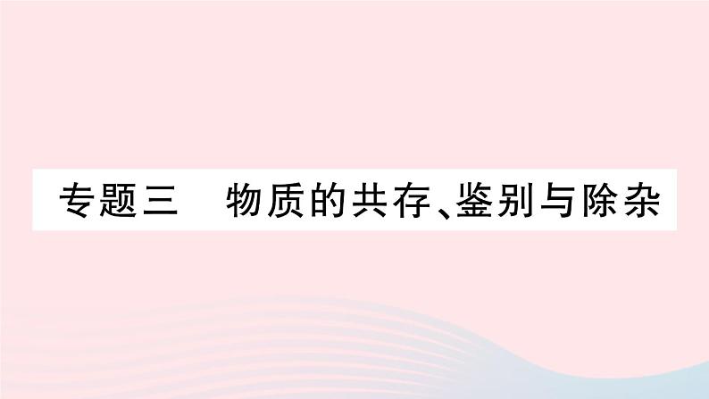 2023九年级化学下册第十一单元盐化肥专题三物质的共存鉴别与除杂作业课件新版新人教版01