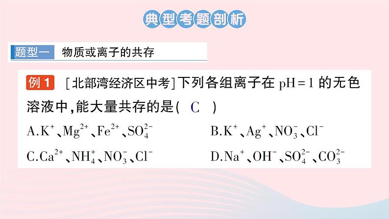 2023九年级化学下册第十一单元盐化肥专题三物质的共存鉴别与除杂作业课件新版新人教版02