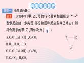 2023九年级化学下册第十一单元盐化肥专题四物质的转化与推断作业课件新版新人教版