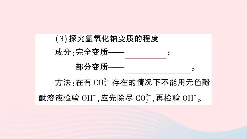 2023九年级化学下册第十一单元盐化肥中考热点实验突破作业课件新版新人教版第3页