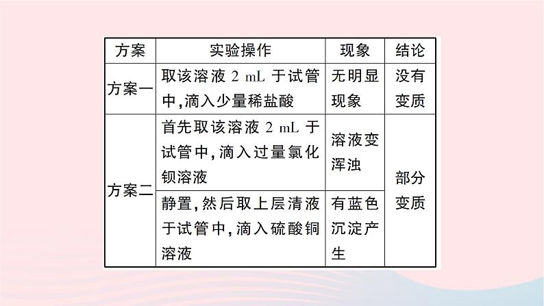 2023九年级化学下册第十一单元盐化肥中考热点实验突破作业课件新版新人教版第5页