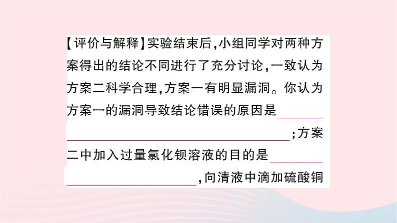 2023九年级化学下册第十一单元盐化肥中考热点实验突破作业课件新版新人教版第6页