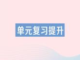 2023九年级化学下册第十一单元盐化肥单元复习提升作业课件新版新人教版